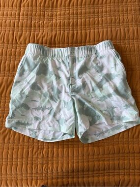 Under Armour Mint Patterned Athletic Shorts